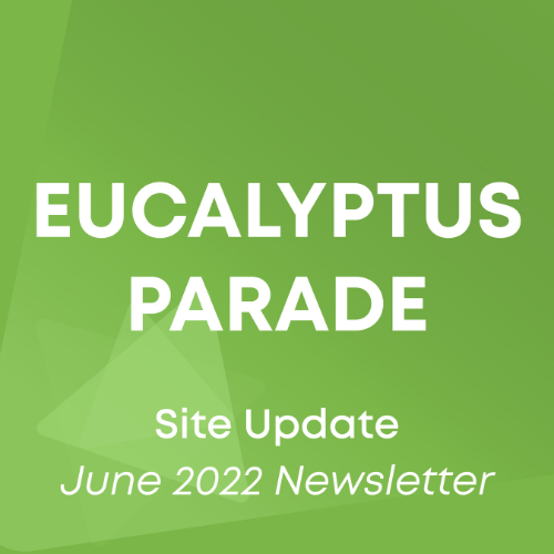 eucalyptus parade update 2022