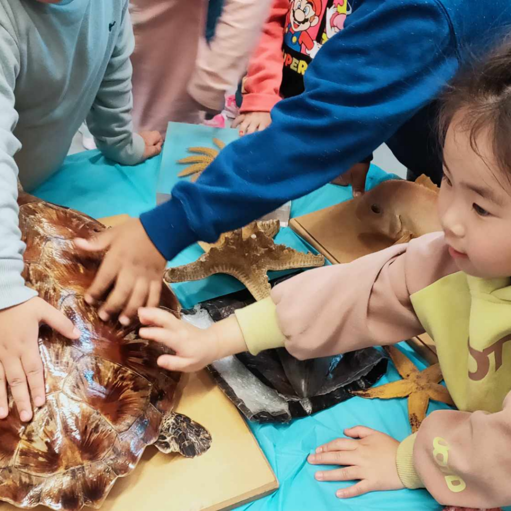 alt="Three-year-old Asian girl touching a turtle shell fossil" 